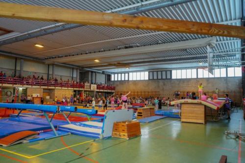 fetegym 2019 (34)